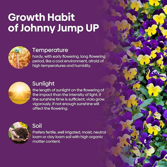 Johnny Jump Up Seeds, 10000+ Perennial Wild Violet Seeds for Planting, Edible Flowers, Non-GMO | Heirloom | Attracts pollinators, Grown in The USA