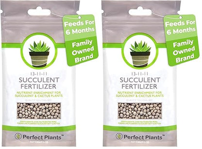 Succulent and Cactus Fertilizer in 5oz. Bag | Long Lasting Gentle Plant Food Formula for All Live Succulents, Cacti, and Other Desert Houseplants (Pack of 2)