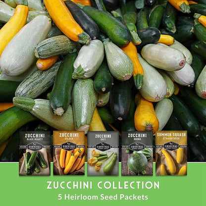 Survival Garden Seeds Zucchini & Squash Collection Seed Vault - Non-GMO Heirloom Seeds for Planting Vegetables - Assortment of Golden, Round, Grey, Black Beauty Zucchinis, Straight Neck Summer Squash