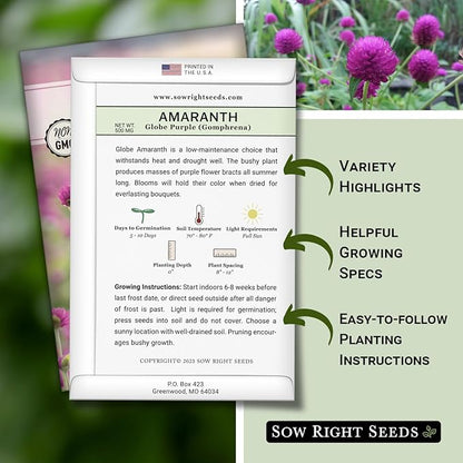 Sow Right Seeds - Purple Globe Amaranth Seeds for Planting - Non-GMO Heirloom Packet with Instructions to Plant & Grow an Outdoor Home Flower Garden - Gomphrena Pompom Flowers - Use Dried for Tea (4)