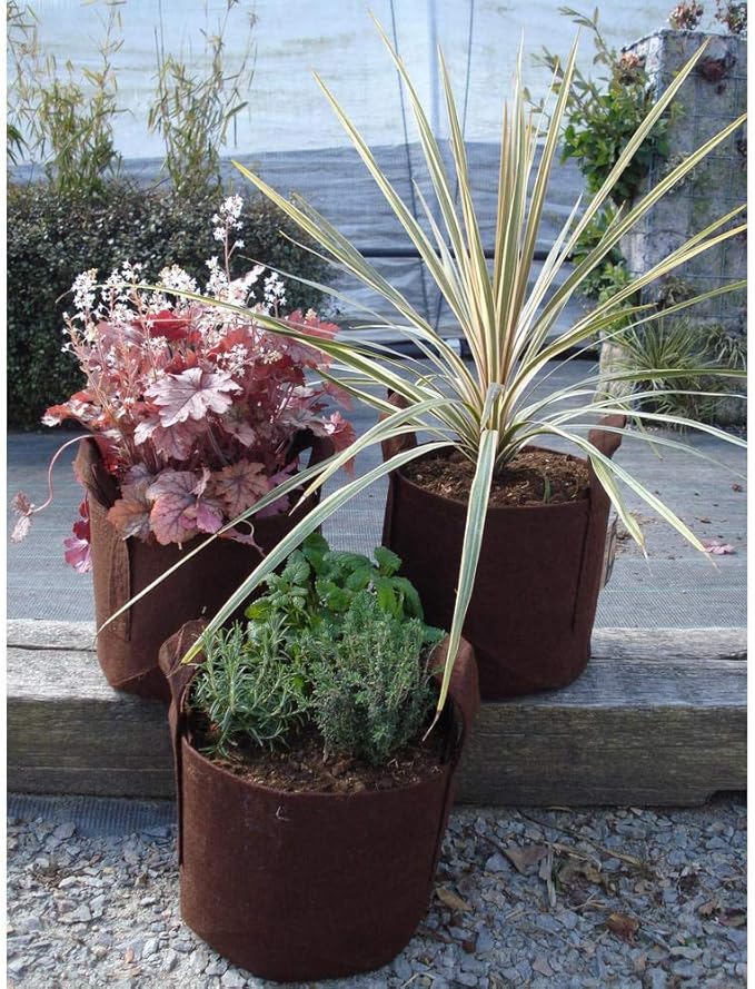 Best Root Pouch 7 Gallon (10 Pack) Fabric POTS and Grow Bags from MAUI MIKE'S.Soft POTS Have Sewn Handles for Easy Moving Grow Bigger and Healthier Tomatoes,Herbs and Veggies.