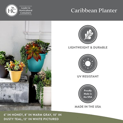 The HC Companies 8 Inch Caribbean Planter Pots with Drainage & Plug, Rolled Rim Plastic Planters for Indoor & Outdoor Plants, 4-Pack Decorative Flower Pots for Garden, Office & Home Decor, Clay