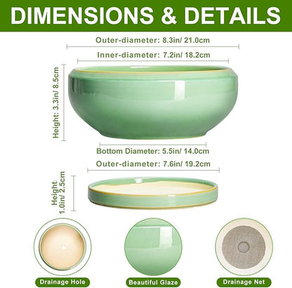 Succulent Planters - 8 Inch Ceramic Bonsai Pots with Drainage Hole and Plant Tray, Round Planter for Indoor Outdoor Plants, Shallow Planter Bowl, Room Decor, Housewarming Gifts, Light Green