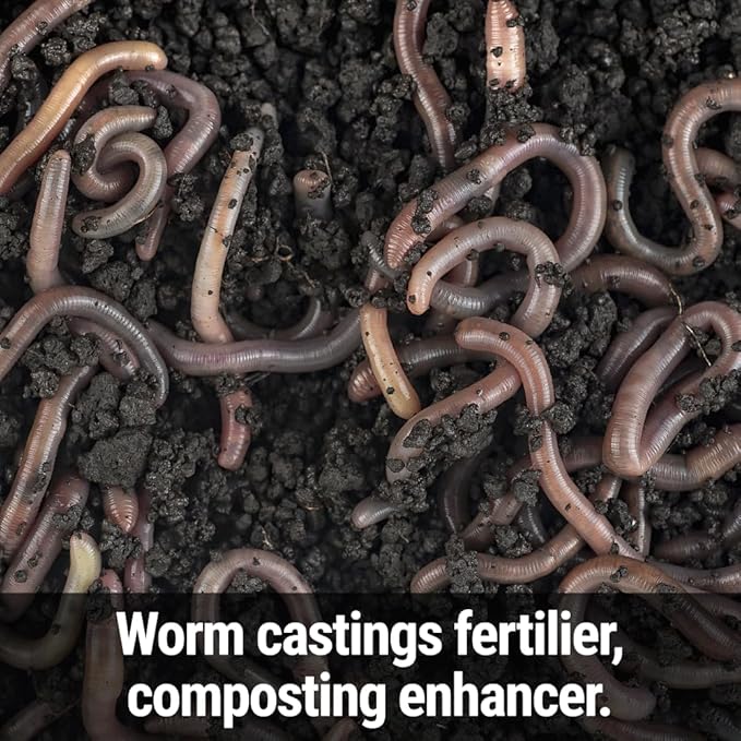 Seedlingers Worm Magic Worm Castings 1 Pound Granular