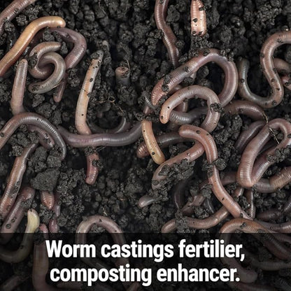Seedlingers Worm Magic Worm Castings 1 Pound Granular
