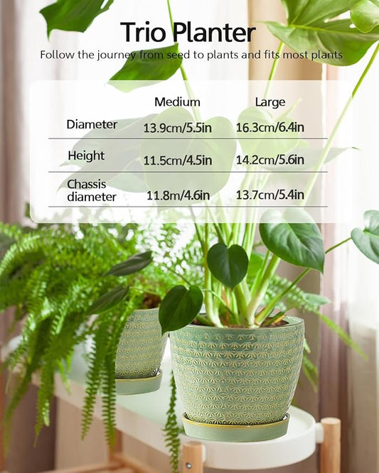 Plant Pots, Flower Pots, Planters for Indoor Plants(6.5+5.5inch), Flower Pots for Indoor Plant with Drainage Hole and Saucer, Ceramic Pots for Plants with Hole Mesh Pad,Sage Green