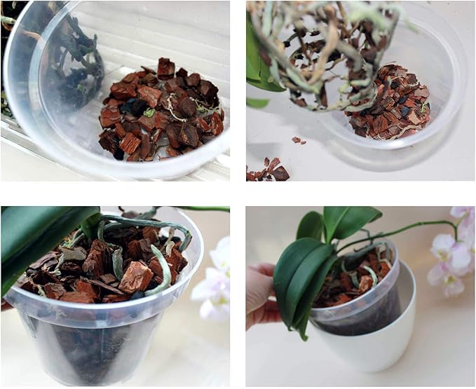 SMEREKA Orchid Repotting Kit with 6-Inch Clear Slotted Pots, Premium Potting Mix, Fertilizer, Cytokinin Paste, and Supportive Clips for Healthy Indoor Orchid Growth