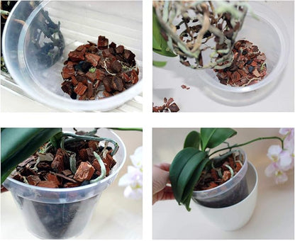 SMEREKA Orchid Repotting Kit with 6-Inch Clear Slotted Pots, Premium Potting Mix, Fertilizer, Cytokinin Paste, and Supportive Clips for Healthy Indoor Orchid Growth