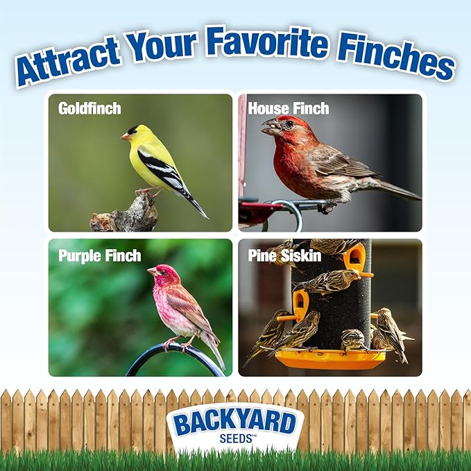 CountryMax Backyard Seeds Finch & Small Songbird Frenzy 5lbs - Premium Nyjer Thistle Seed Blend for Finch Feeders, Small Bag of Wild Bird Food
