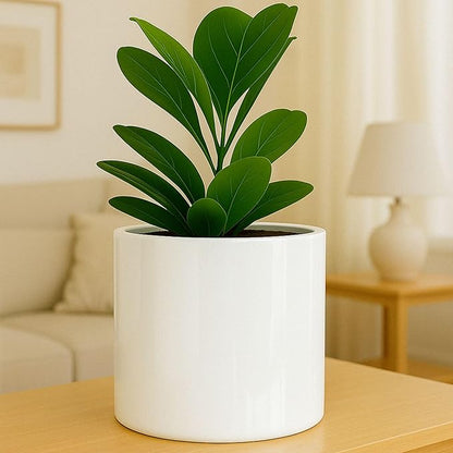 Fox & Fern Large 12 Inch Planter - Lightweight Fiberstone Glossy White Plant Pot - Drainage Plug - Large Indoor & Outdoor Floor Planter - 12 Inch Pots for Plants - Weather Resistant & UV Resistant