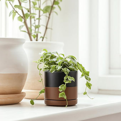 D'vine Dev 3.5 Inch & 4.7 Inch Ceramic Planter Pots for Plants with Drainage Hole and Saucer, X-Small Plant Pots Set, Black/Speckled Tan, 94-G-XS-7