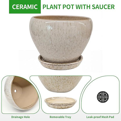 Deep Dream 6 Inch Plant Pots- Ceramic Planter Pot with Drainage Hole and Saucer, Round Flower Pot for Indoor Outdoor Succulent, Snake Plants and Cactus, Beige