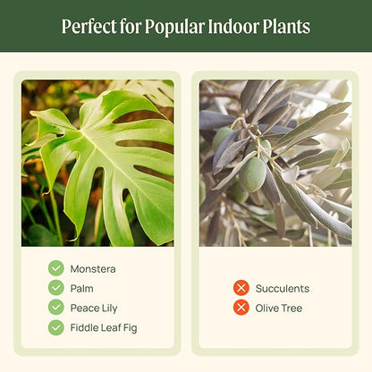 Vego garden 15 Inch Self-Watering Planter for Indoor Plants – Large Modern Plant Pot with Built-in Water Reservoir, Ideal for Monstera, Fiddle Leaf Fig, Palms & Peace Lily, Without Trellis, Fog Gray