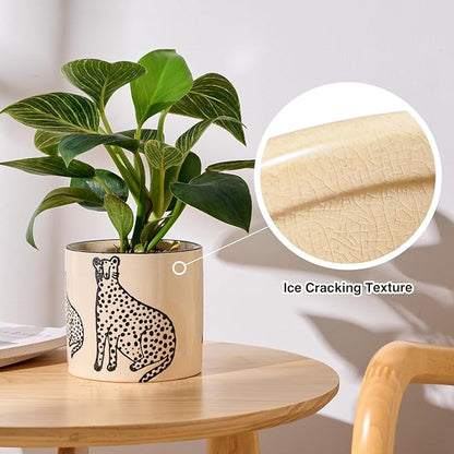 5 Inch Ceramic Planters for Indoor Plants, Funny Small Plant Pots with Drainage, Unique Decorative Cute Flower Pot Panthers Round Flowerpots