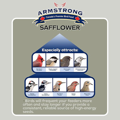 Armstrong Wild Bird Food Safflower Bird Seed, 4 Pounds - for Northern Cardinals, Rose-Breasted Grosbeaks and Black-Capped Chickadees - Ideal for Outside Feeders