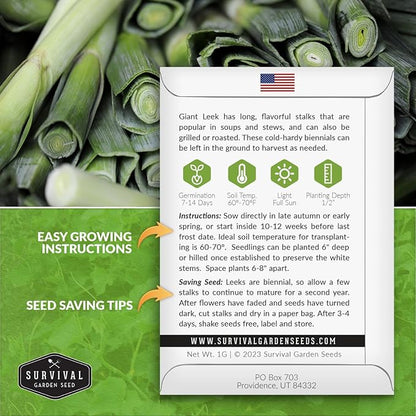 Survival Garden Seeds Giant Leek Seed for Planting - 1 Packet with Instructions to Plant and Grow Enormous Leeks in Your Home Vegetable Garden - Non-GMO Heirloom