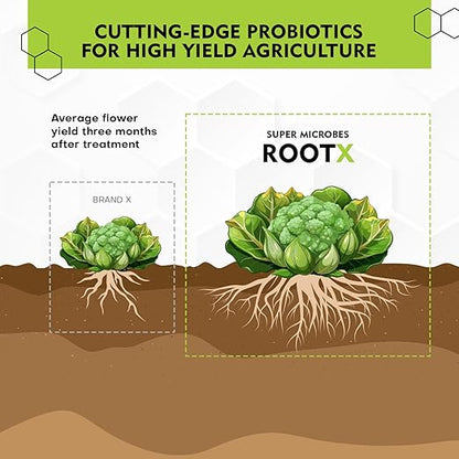 RootX – Premium Mycorrhizae Rooting Powder | Enhance Root Growth & Nutrient Uptake | Mycorrhizal Fungi & Trichoderma | Organic Soil Booster for Stronger Plant Roots