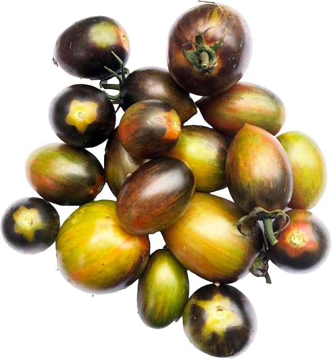 Organic Brad's Atomic Grape Tomato Seeds (Solanum lycopersicum) 150 Seeds (0.5 Grams) - Tie-dye Psychadelic Heirloom Open Pollionated Tomato Seeds by Smoke Camp Crafts