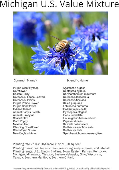 Michigan Bulk Perennial Wildflower Seed Mix 1lb Covers 2,000sq-ft - Attract Pollinators, Multi-Color Blooms - Midwest US Species Plant in Spring/Fall - Earth-Friendly Packaging (1/2 Pound)