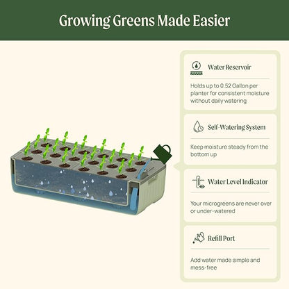 EZ Leafy Planter – Self-Watering Indoor Planter Box with Reservoir & Humidity Dome | Soil-Based Countertop Garden Kit for Leafy Greens, Lettuce, Spinach & Herbs | Kitchen Windowsill Planter