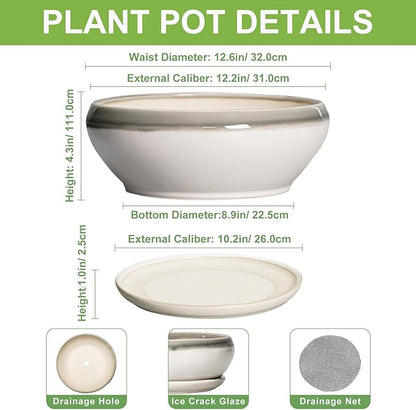 SQOWL Large Succulent Planters - 12 Inch Ceramic Bonsai Pots with Drainage Hole and Saucer, Shallow Round Planter for Indoor Plants, Bowl Planter Outdoor, Living Room Decor, Birthday Gift, Gray-Beige