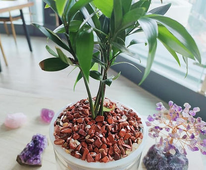 ZHIYUXI Red Jasper Chips Fish Tank Gravel Vase Filler Stones Bulk Crushed Crystals Gemstone Polished Natural Quartz Stone Healing Crystals Glass Stones Fish Rocks