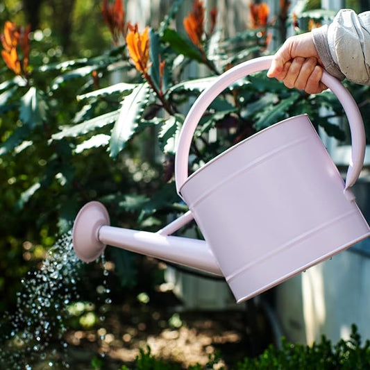 1.3 Gallon Watering Can, Matte Pink Finish, Galvanized, Metal Watering Can with Remove Spout, Perfect Water Can for Plants Indoor & Outdoor