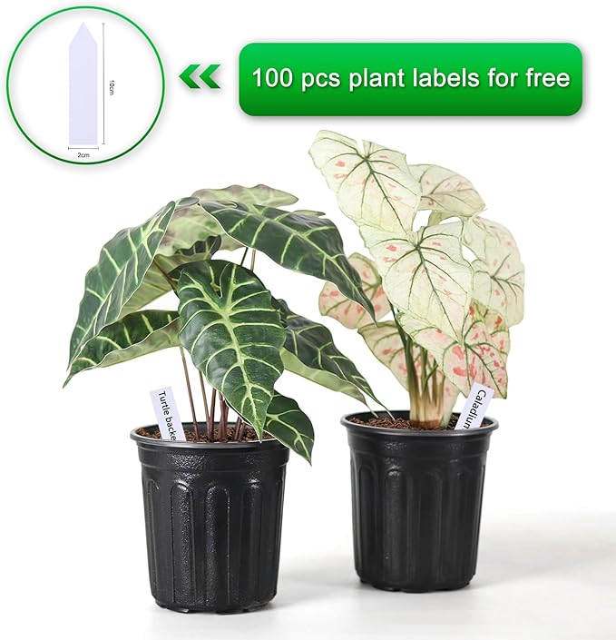 100-Pack 1 Gallon Nursery Pots, Thickened Pots for Plants with Drainage Holes, Large Plastic Flower Pots for Seedlings, Succulents, Transplanting, Come with 100pcs Plant Labels