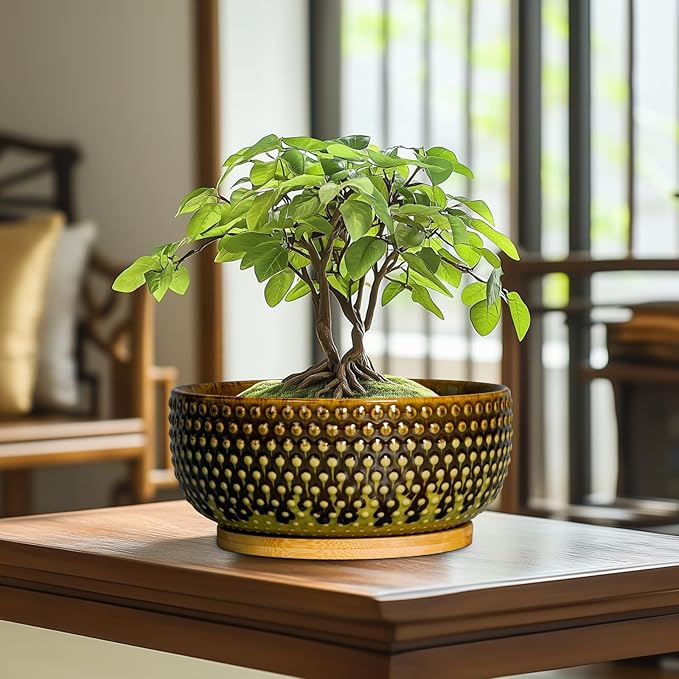 Bonsai Pots 8 Inch - Ceramic Planter for Indoor Plants, Succulent Pots with Drainage Hole and Plant Tray, Modern Round Decorative Flower Planters, Home Decor, Brown & Green