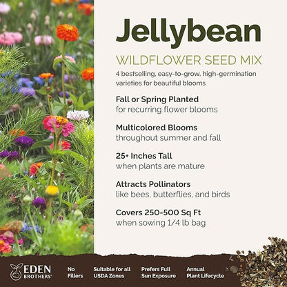 Eden Brothers Jellybean Flower Mixed Seeds for Planting, 1/4 lb, 120,000+ Seeds with Zinnia, Cornflower, Cosmos, Calendula, Attracts Pollinators, Plant in Spring or Fall, Zones 3, 4, 5, 6, 7, 8, 9, 10