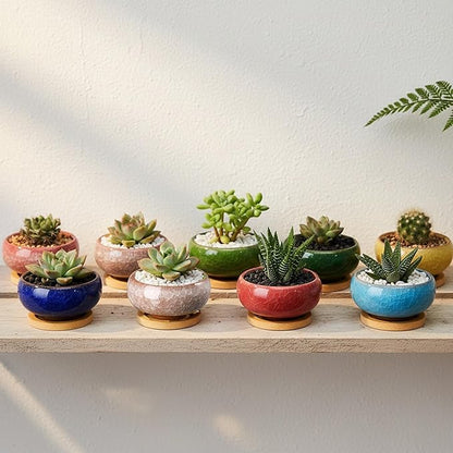TOPZEA 16 Pack Mini Succulent Planter Pot, 2.5 Inch Ceramic Ice Crack Cactus Seed Starter Pots Micro Landscape Planter with Drainage Hole & Bamboo Tray for Moss Plant, Baby Succulent, Herb
