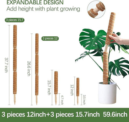 Joyhalo Moss Pole Monstera Plant Support, 6 Pcs 15.7 and 12 Inch Moss Stick for Potted Plants, Plant Pole with 65 Feet Garden Twist Tie