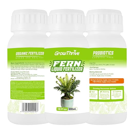 Fern Liquid Fertilizer – Natural Organic Plant Food for Ferns, Indoor & Outdoor Use, 300ml Concentrated Probiotic Formula for Greener Leaves, Strong Roots & Healthy Growth