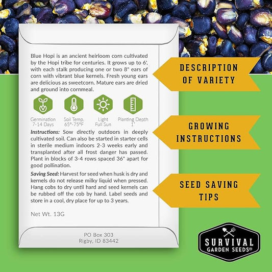 Blue Hopi Corn Seeds for Planting - Plant & Grow Heritage Blue Maize in Your Home Vegetable Garden - Non-GMO Heirloom Variety - Survival Garden Seeds (1 Pack)