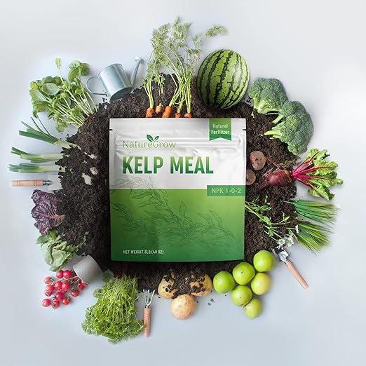 Kelp Meal 1-0-2 Natural Plant Food, Boost Plant Health and Yield! (24lb)