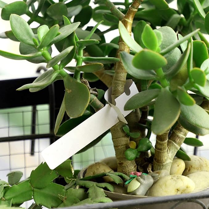 KINJOEK 1800 PCS White Plant Labels, Adjustable PVC Plant Tags Garden Plant Labels