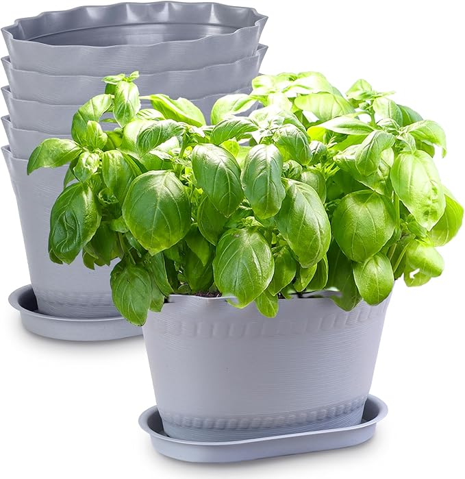 Herb Planter Pots 6 Pcs, Window Box Planter Flower Plants Pots for Succulent Cactus Flower with Trays, for Home Garden Kitchen Decor (Grey)