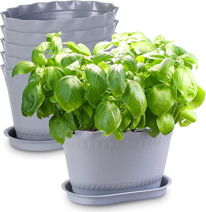 Herb Planter Pots 6 Pcs, Window Box Planter Flower Plants Pots for Succulent Cactus Flower with Trays, for Home Garden Kitchen Decor (Grey)