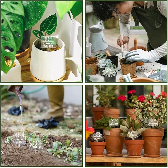 arricraft 15 Pcs Transparent Shaped Acrylic Plant Labels, Plant Sun Water Theme Waterproof Garden Stake Labels for Indoor Outdoor Potted Plants Nursery Markers Decorative Accessories 4.01x2.68 inches