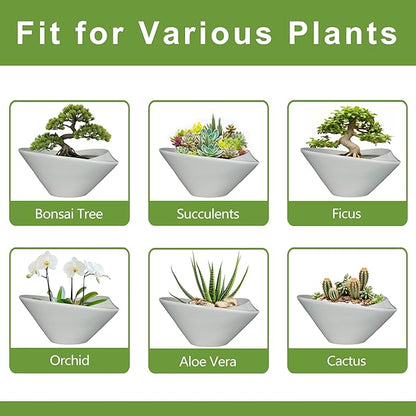 Bonsai Pots 13 Inch - Ceramic Succulent Pots with Drainage Hole Decorative Plant Pot Indoor Large Outdoor Planter Modern Flower Pot for Home Garden Office Room Decor Gray