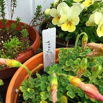 Plant Labels 300Pcs Plastic Plant Name Tags for Seedlings Garden Labels Markers Nursery Plant Tags Seed Labels Plant Label Stakes with Permanet Marking Pen Plant Markers for Outdoor Garden(4 Inch)