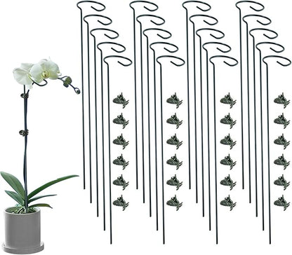 20 Pack Plant Support Stakes with 24 Pcs Plant Clips, Garden Single Stem Support Stake, Plant Cage Support Ring for Indoor Outdoor Flowers Rose Amaryllis Tomatoes Peony Lily Orchid (24 Inch)