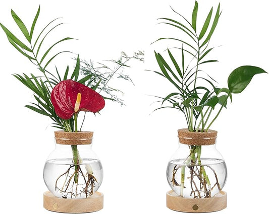 Plant Propagation Station with Wooden Saucer, Glass Terrarium with Stepless Dimming Function Hydroponic Glass Container Vase Jars Gardening Gifts for Mom Women Plant Lovers(2 Pack)
