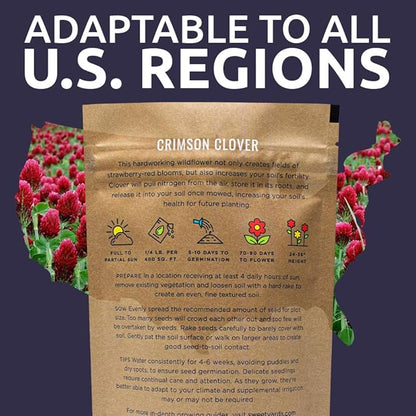 Crimson Clover Seeds – Bulk Quarter Pound Bag – Over 20,000 Open Pollinated Non-GMO Seeds – Trifolium incarnatum