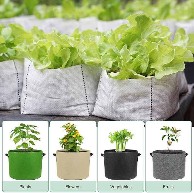 5-Pack Plant Grow Bags 1 Gallon Grow Bags 300G Thickened Fabric Pots with Durable Handles Plant Garden Grow Pots for Fruits/Vegetables/Flowers/Plants [Green]