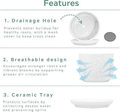 2 Pack, 5 + 6 Inch White Orchid Pots with Holes and Saucer, Ceramic Orchid Planters for Repotting with Drainage Holes and Tray, Plant Flower Pot containers for Orchid Indoor Outdoor