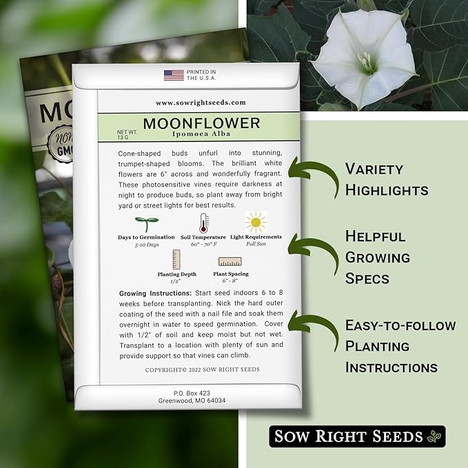 Sow Right Seeds - Moonflower (Ipomoea alba) Flower Seeds for Planting - Non-GMO Heirloom Flowers to Grow in Your Home Garden - Vining Plant for Beautiful Evening Blooms - Wonderful Gift (1)