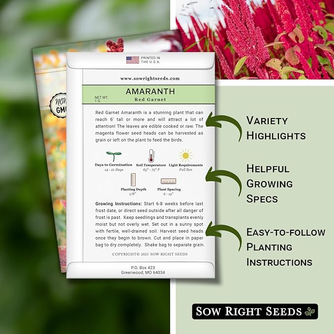 Sow Right Seeds - Red Garnet Amaranth Seeds for Planting - Non-GMO Heirloom Packet with Instructions to Plant & Grow an Outdoor Home Vegetable Garden - Colorful & Unique - Trailing Variety (3)