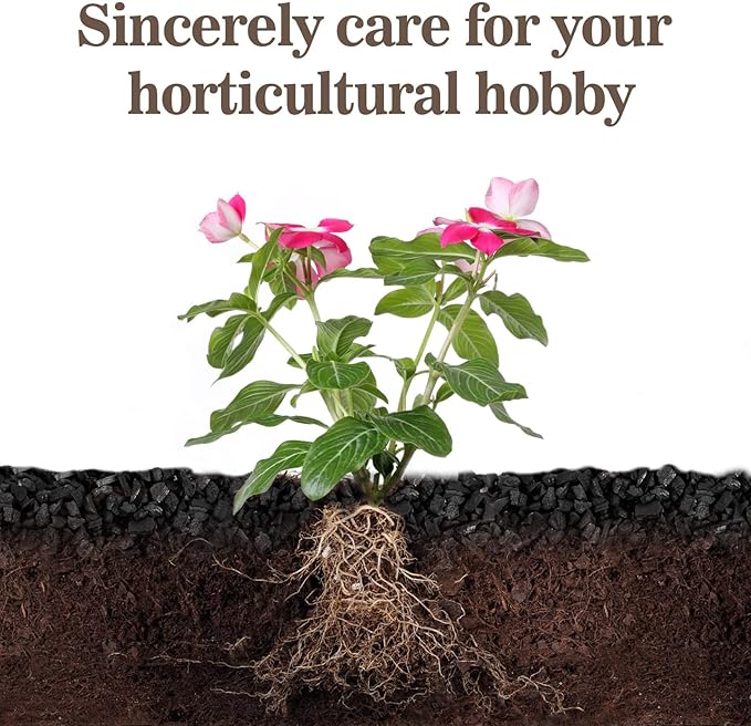 Sukh Horticultural Charcoal for Plants - 1.4Qt. Natural Earth Regulated Supplement for Potting Soil Indoor Plants, Organic Biochar, Succulent Soil, Paphiopedilum, Bonsai, Terrarium