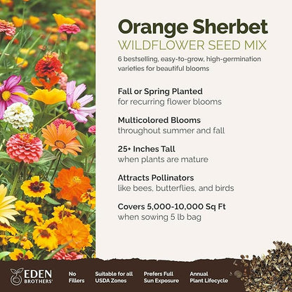 Eden Brothers Orange Sherbet Flower Mixed Seeds for Planting, 5 lb, 2,400,000+ Seeds with Cosmos Picotee, Bright Lights | Attracts Pollinators, Plant in Spring or Fall, Zones 3, 4, 5, 6, 7, 8, 9, 10